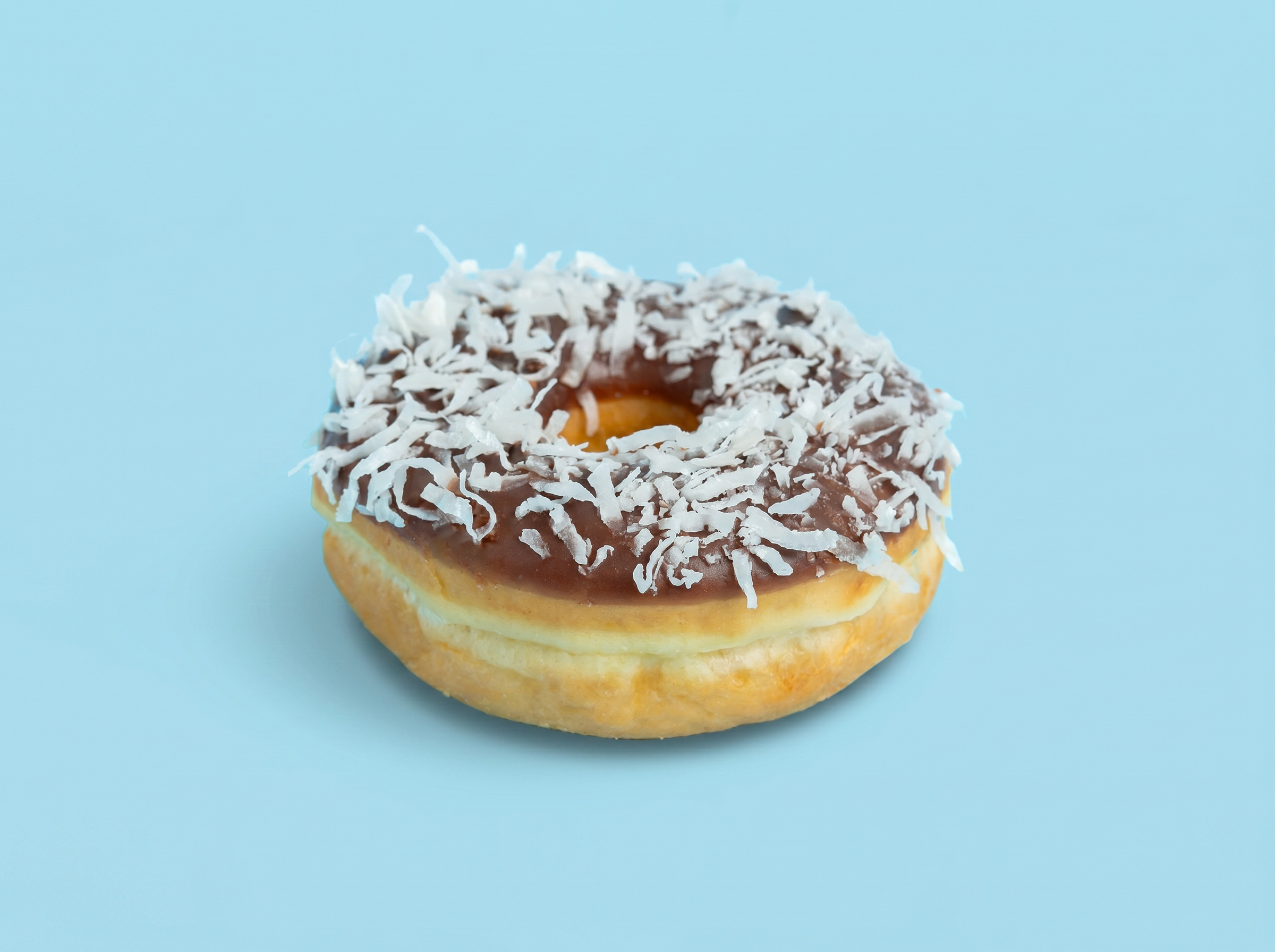 White Coconut Donut