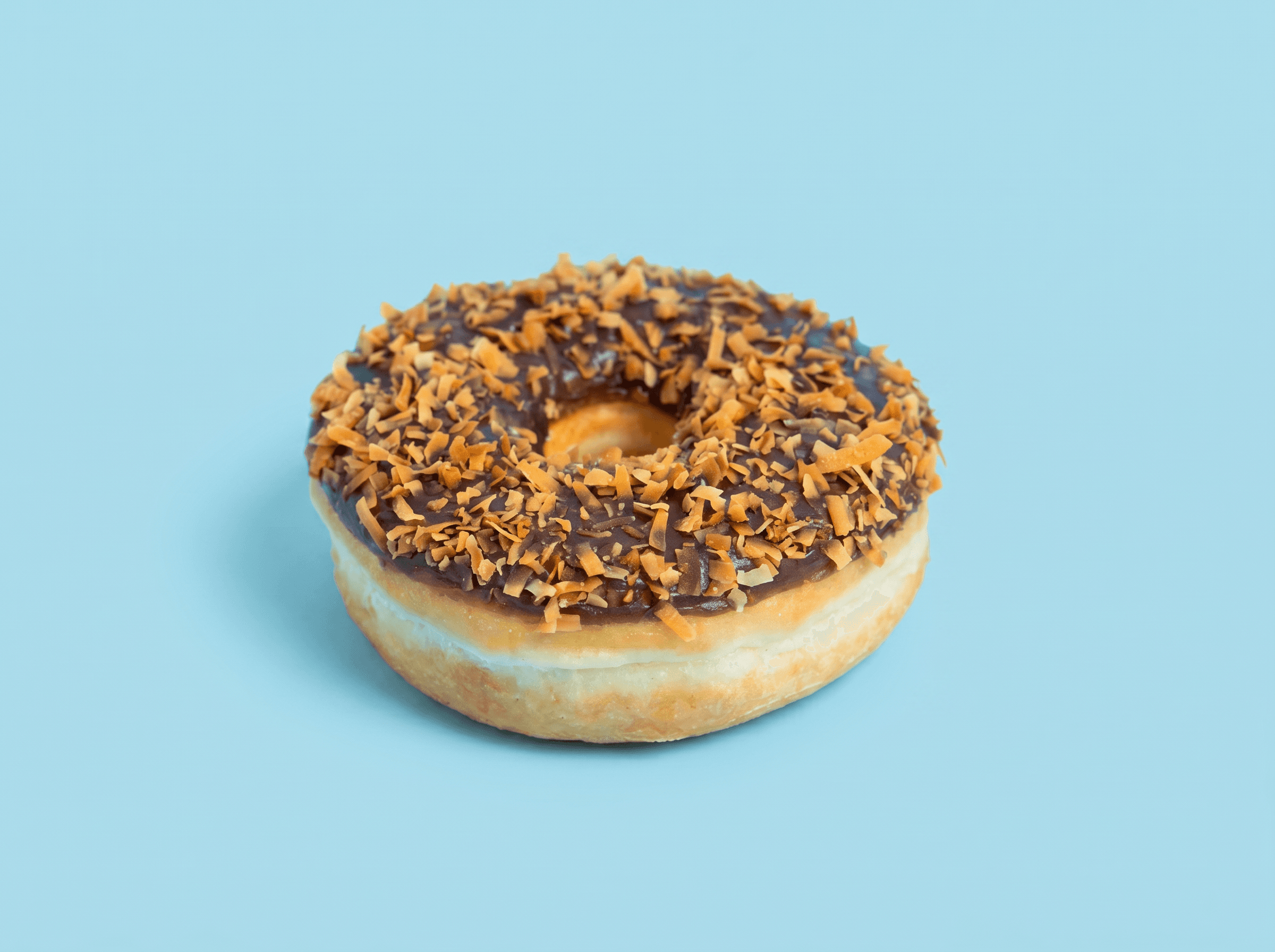 Roasted Coconut Donut