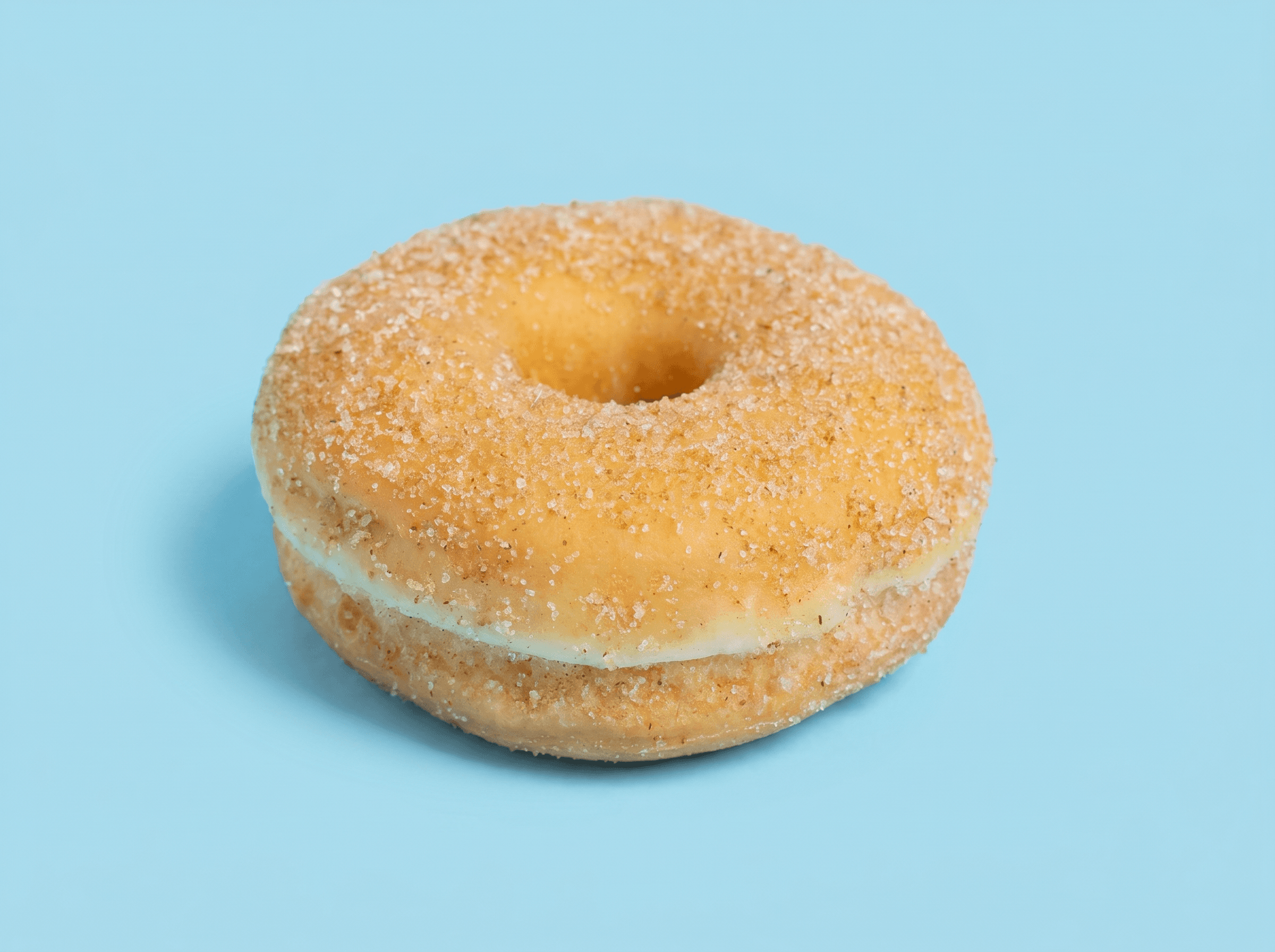 Cinnamon Sugar Donut